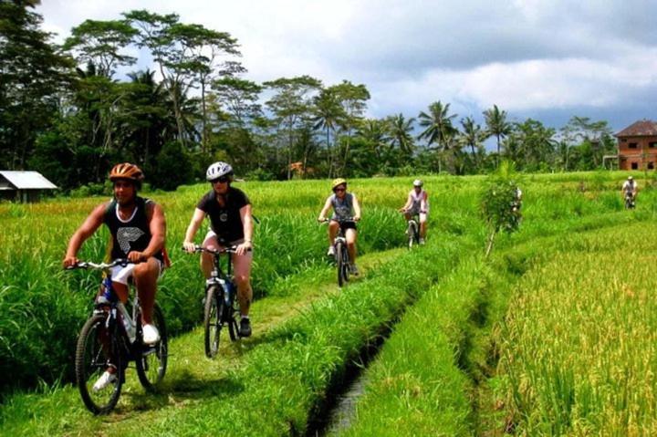 Nobody Inn Bali At Arya Guest House Ubud Dış mekan fotoğraf